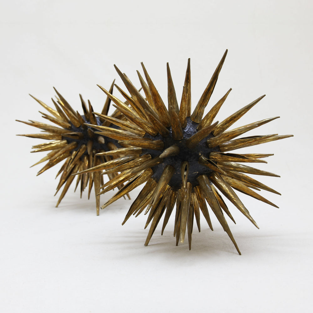 
                  
                    TINTORADO SEA URCHIN
                  
                