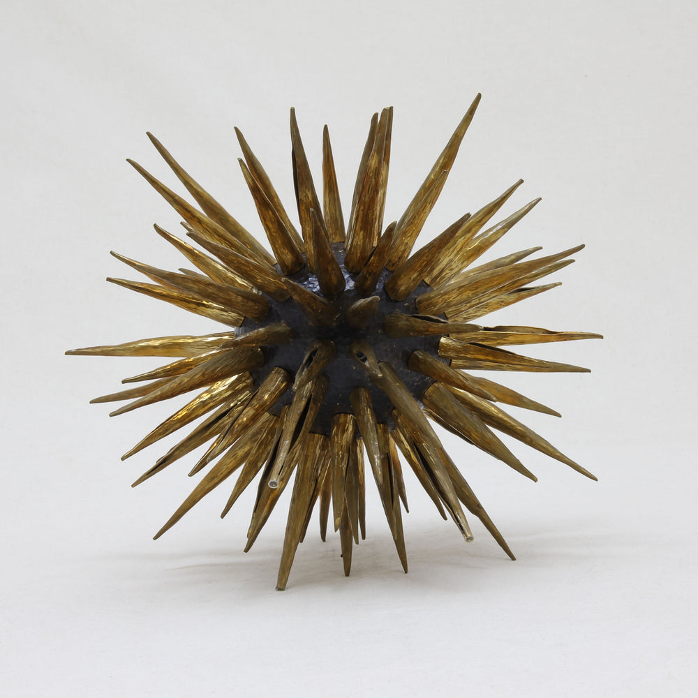 TINTORADO SEA URCHIN